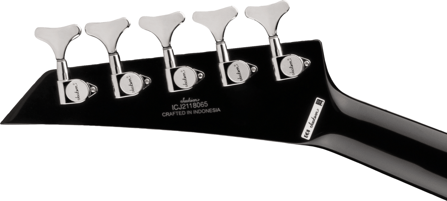 X Series Concert™ Bass CBXNT DX V